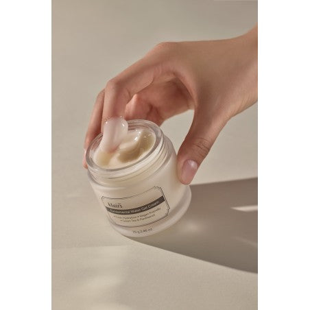 Fundamentele watergelcrème